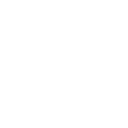 estaplishing e-store